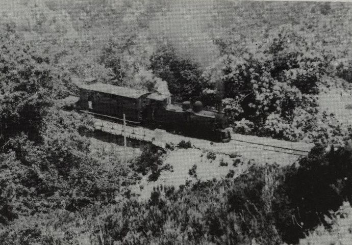 Freight train being towed by a Mallet locomotive in the Vivario loop (Collection Vie du Rail. Photo P. CARENCO) Freight train being towed by a Mallet locomotive in the Vivario loop (Collection Vie du Rail. Photo P. CARENCO)